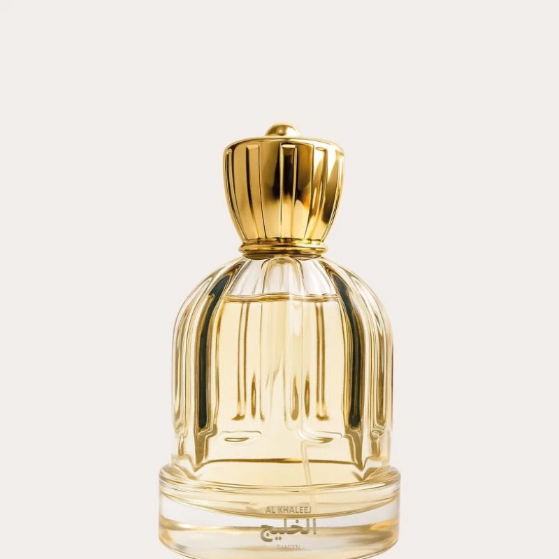 Tamiyn Al Khaleej Eau de Parfum 100ml EDP