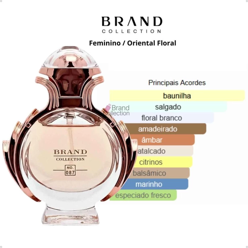Brand Collection 087 – Inspiração Olympéa