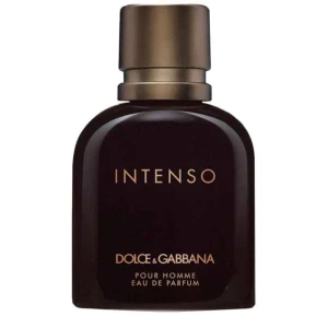 Dolce & Gabbana Intenso Pour Homme 125ml Masculino