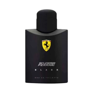 Ferrari Black Masculino Eau de Toilette 100 ML